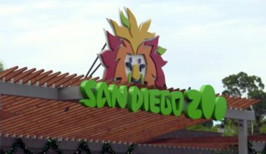 Police find no danger after threat reported at San Diego Zoo – NBC 7 San Diego
