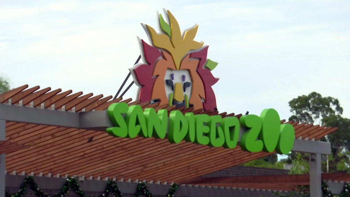 Police find no danger after threat reported at San Diego Zoo – NBC 7 San Diego