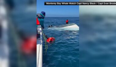 Whale watching crew rescues capsized fishermen off California coast