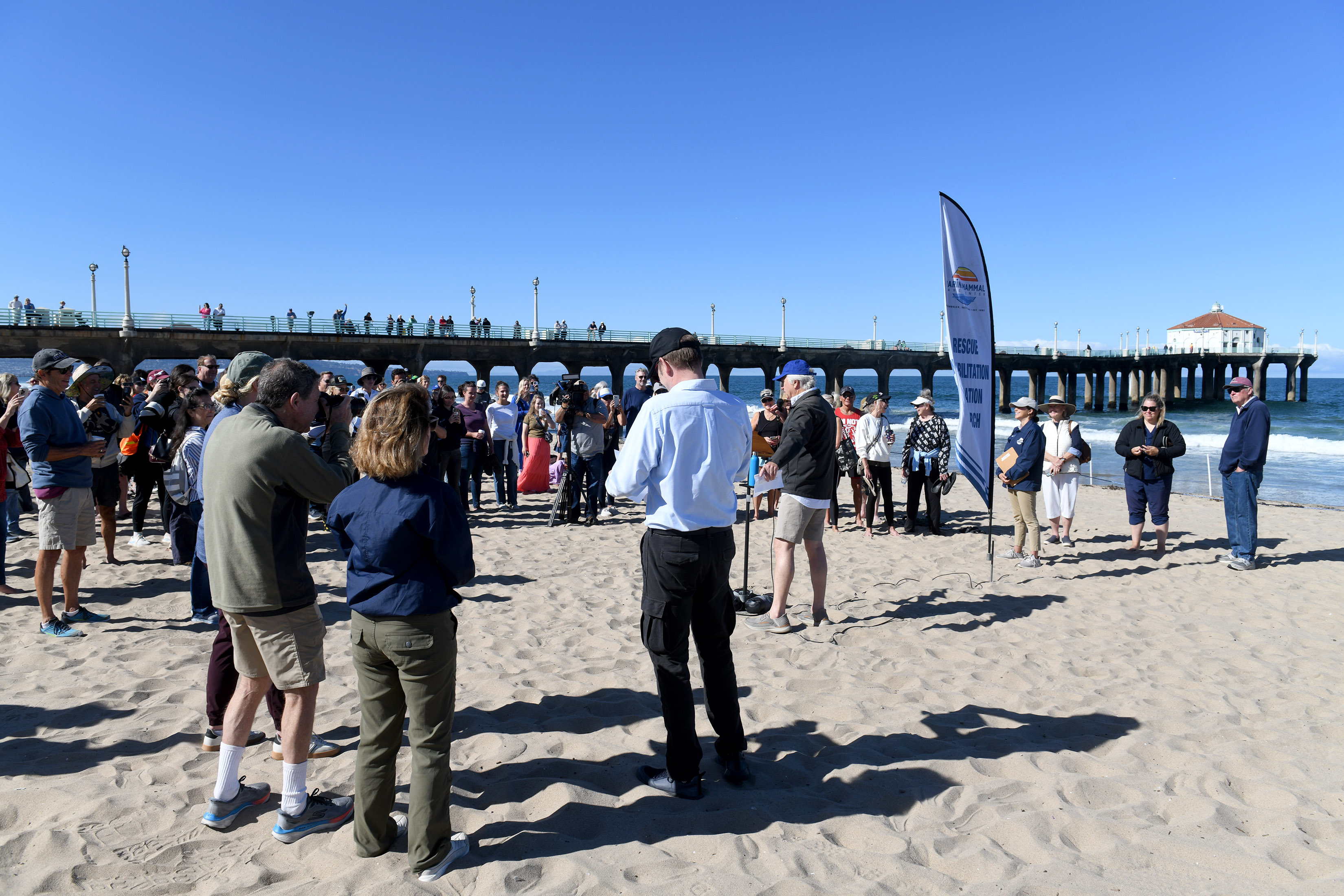 Mayor Joe Franklin joins volunteers with the Marine Mammal Care...