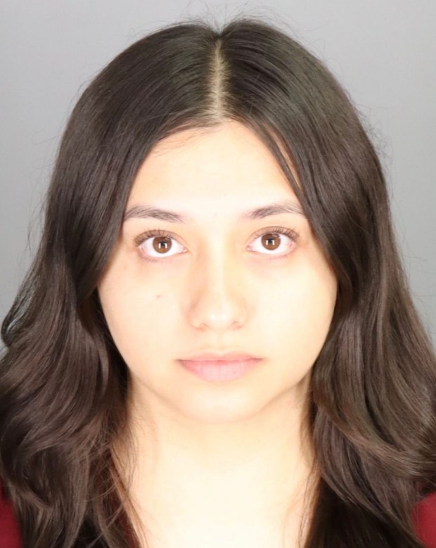 mugshot