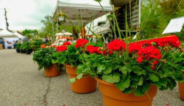 Oakland County community calendar May 17 and beyond – The Oakland Press