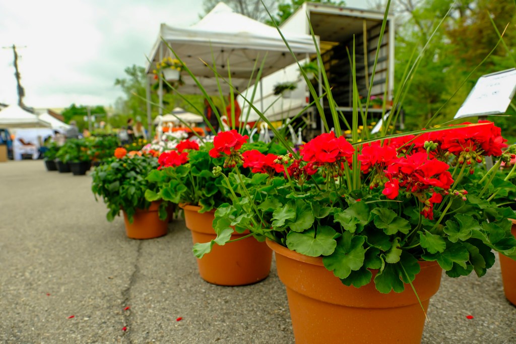 Oakland County community calendar May 17 and beyond – The Oakland Press