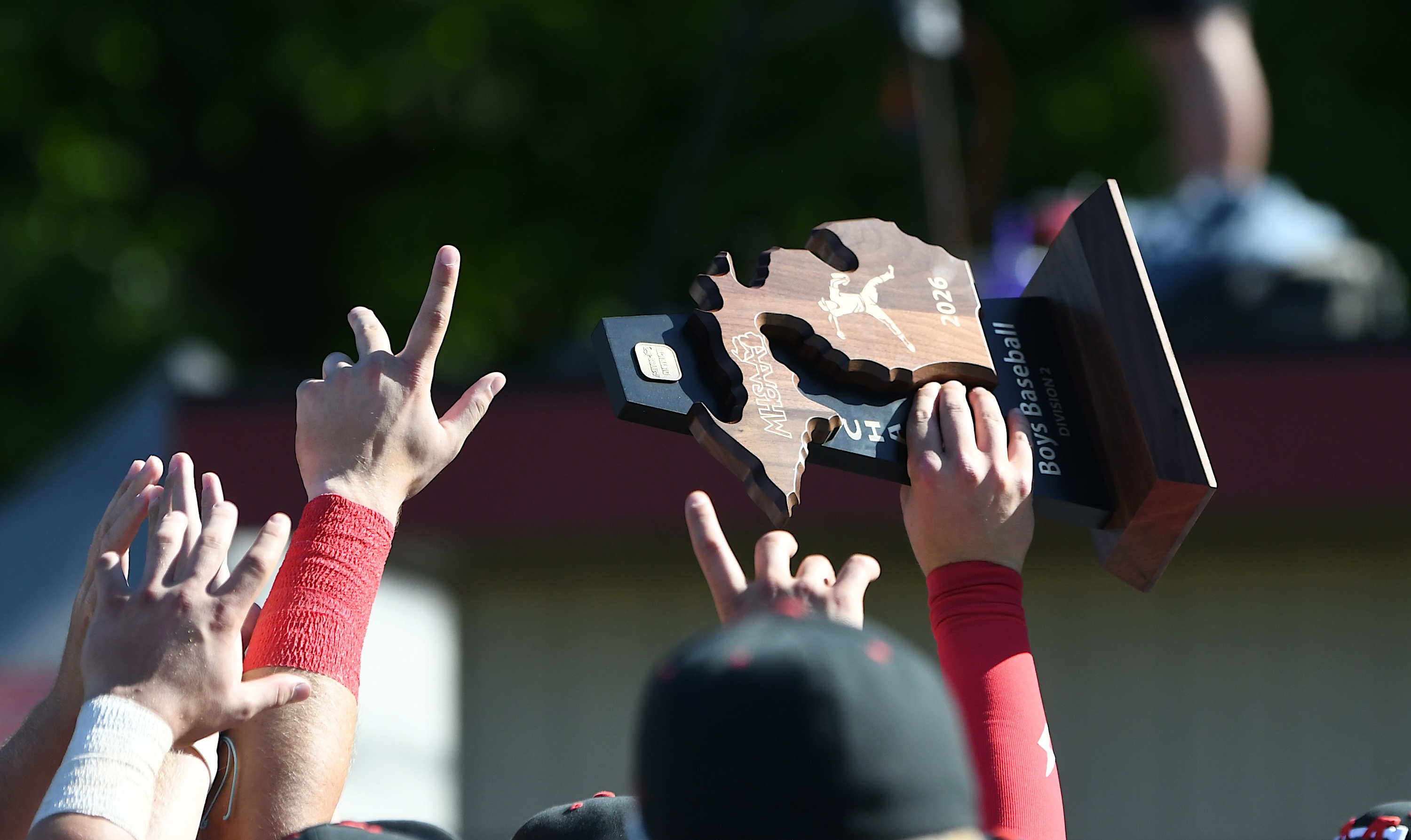 No. 1-ranked Orchard Lake St. Mary's beat Bloomfield Hills Cranbrook...