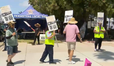 MTS minibus and access services impacted due to strike – NBC 7 San Diego