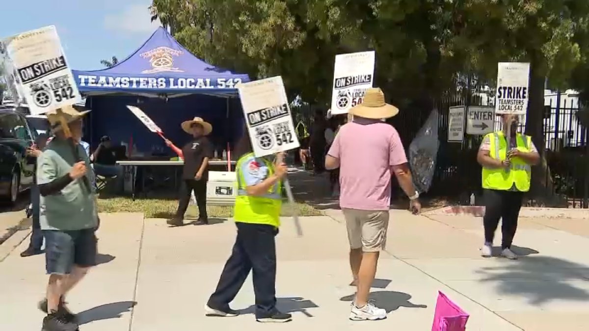 MTS minibus and access services impacted due to strike – NBC 7 San Diego