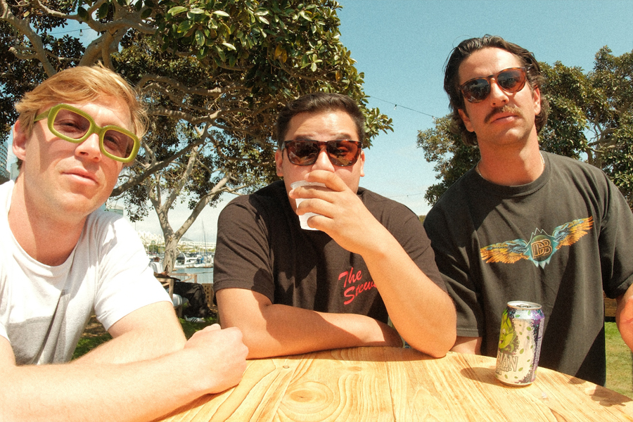 Moonshine Beach Three Legged Dog with The Bay Birds