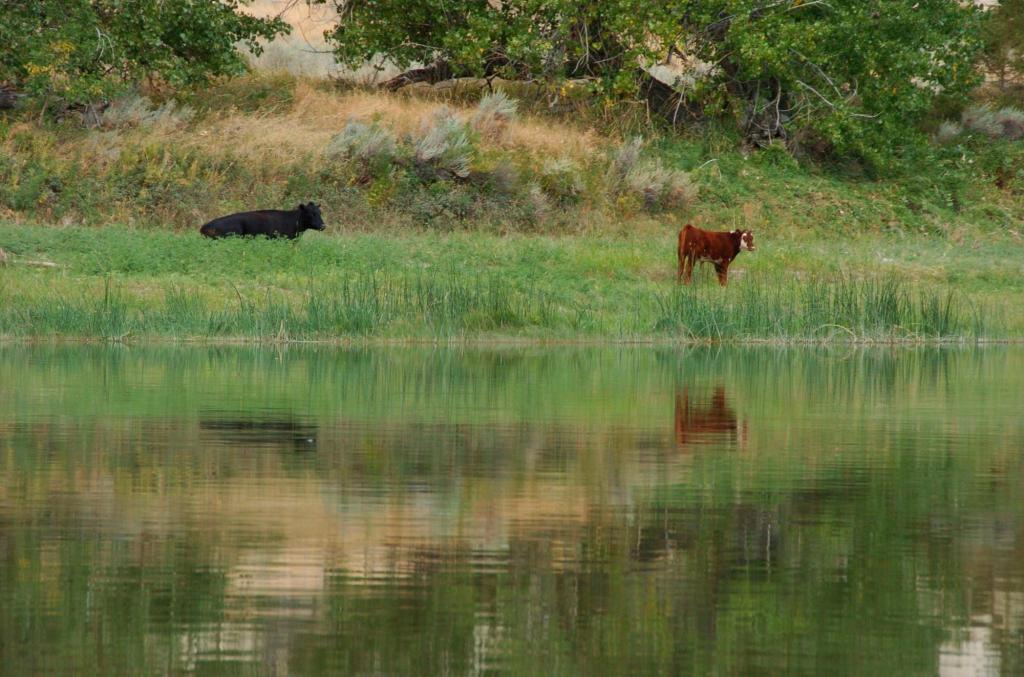 Trump administration cancels rule that made conservation a ‘use’ of public lands