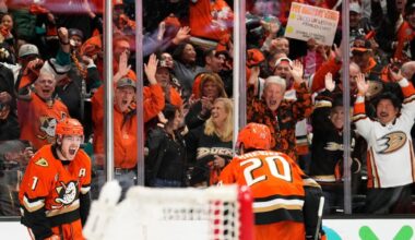 After seven seasons without playoffs, Anaheim Ducks surge into 2nd round with a stellar series win