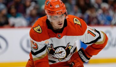 Ducks announce injury updates for six players