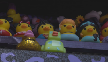 Rubber ducks take center stage at Jeepin the Coast in Long Beach