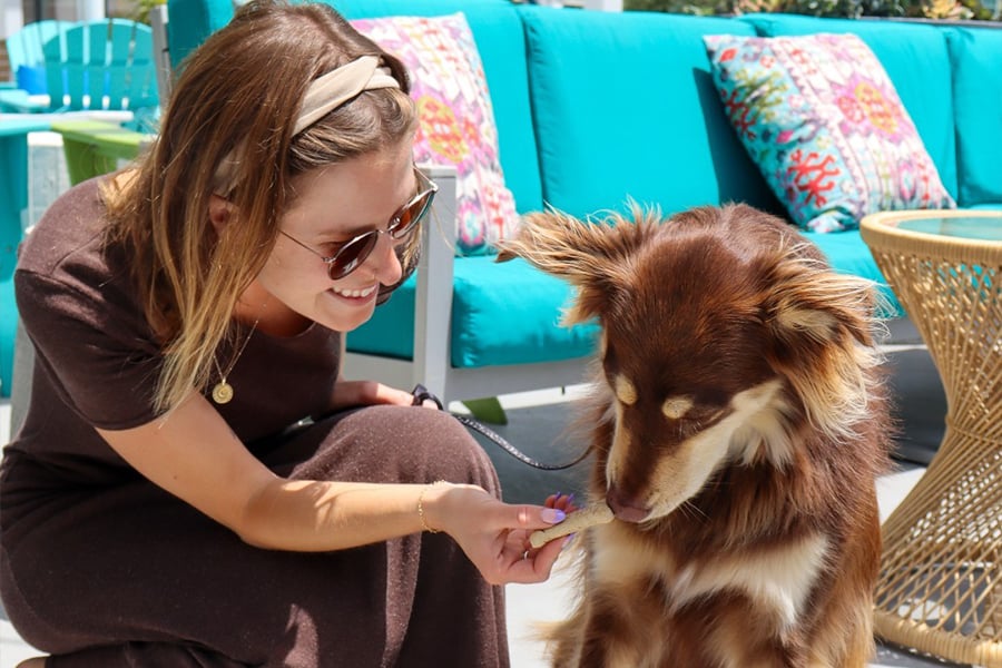 Yappy Hour 5 o'Clock Somewhere Rooftop