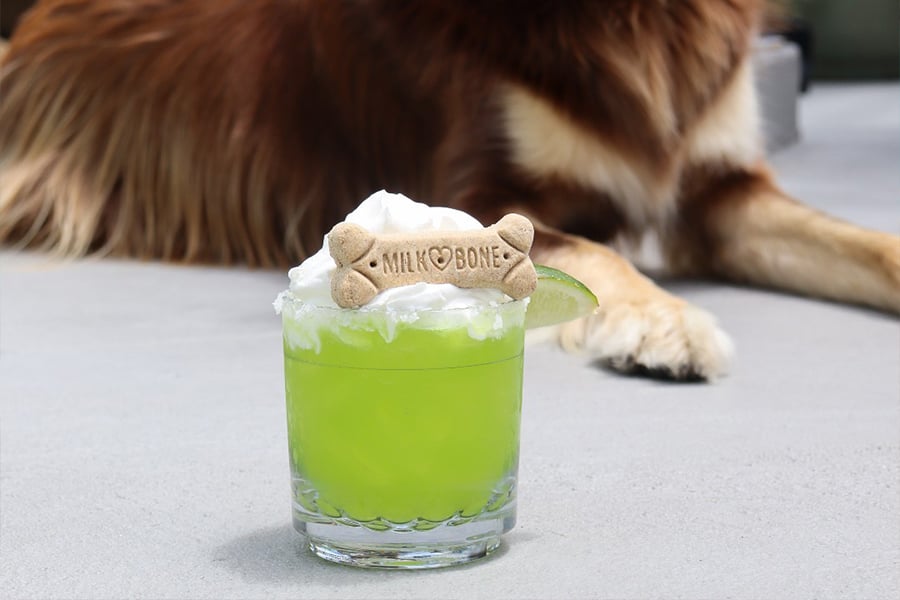 Yappy Hour 5 o'Clock Somewhere Rooftop