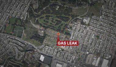 Gas line in San Francisco struck by construction crews