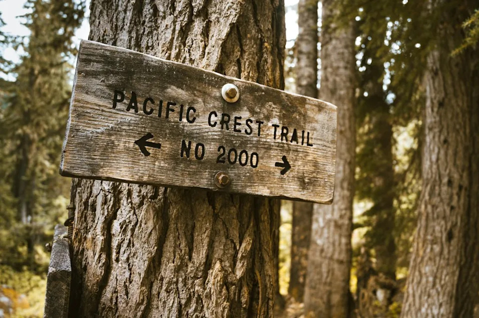 Dozens of hikers have had symptoms of the norovirus while hiking the Pacific Crest Trail. Cavan – stock.adobe.com