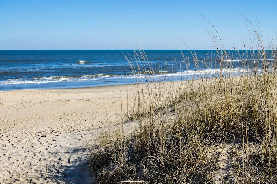 Sandbridge Beach in Virginia Beach, Virginia with beach grass, ocean and waves.