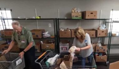 New hunger research shows millions of Californians struggling to afford food