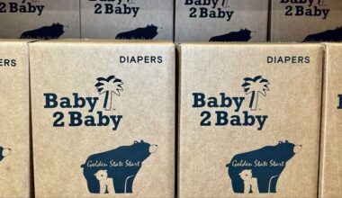 California will lead the nation in providing free diapers to newborns at dozens of hospitals