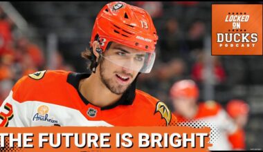 Will Anaheim Ducks SHOCK Everyone With Their Incoming FORWARDS This Offseason?