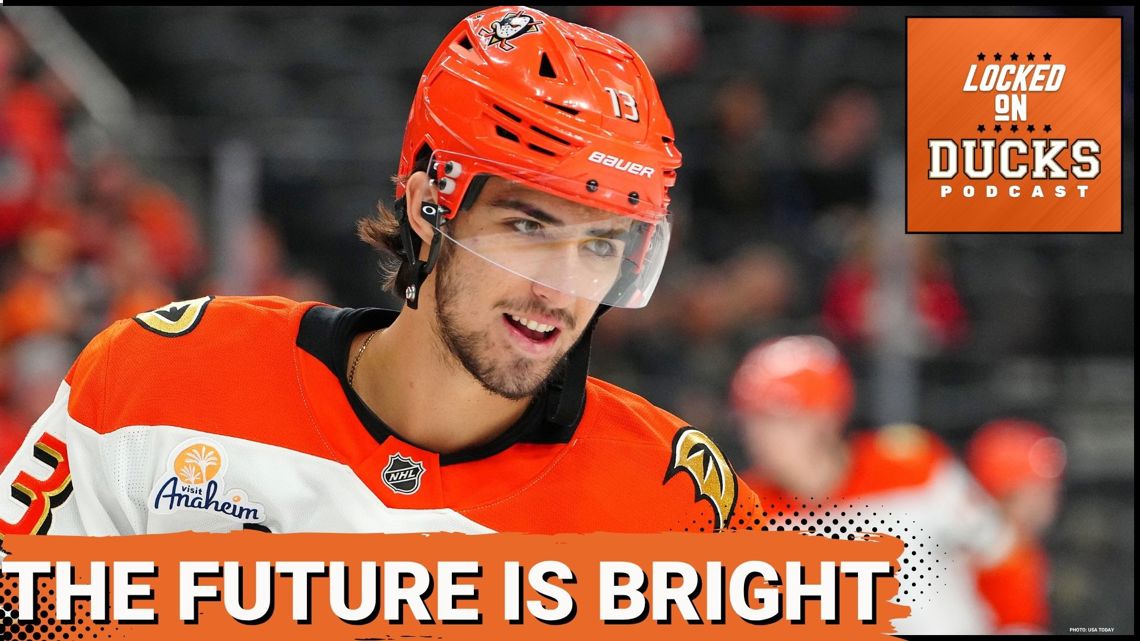 Will Anaheim Ducks SHOCK Everyone With Their Incoming FORWARDS This Offseason?