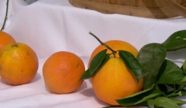 Fresh produce and local goods return for Meadowview farmers market