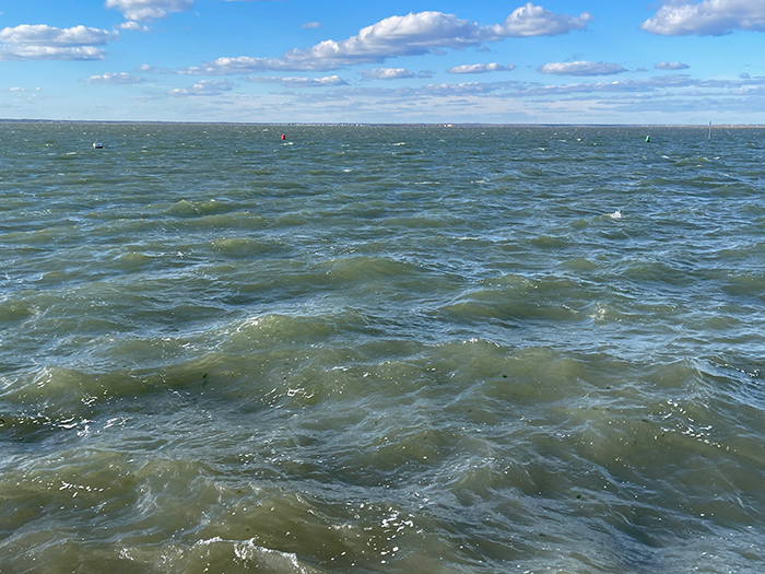 Family Boating Trip Turns Tragic In Fatal Crash