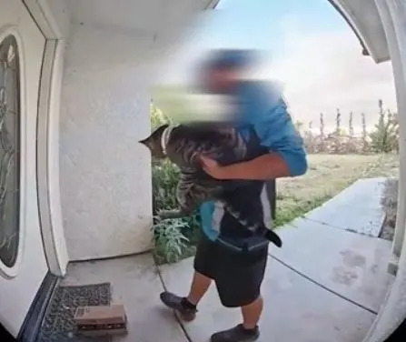 <em>It’s been more than two weeks since a Bakersfield family cat went missing amid an Amazon Delivery on May 14, 2026. </em>