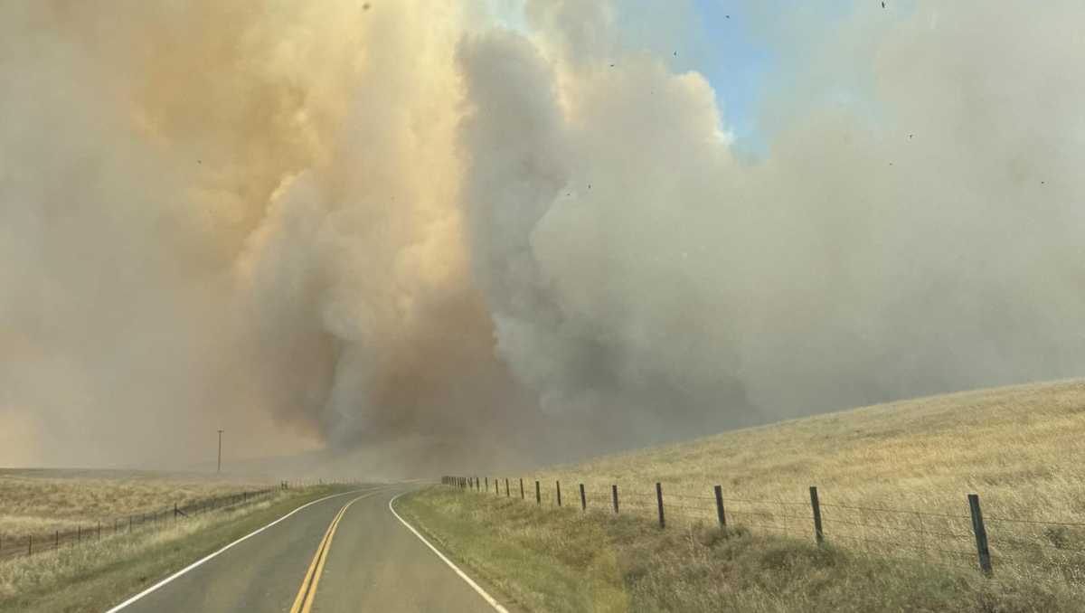 Red Flag Warning: Planned, unplanned outages happening across NorCal due to heavy wind, fire risk