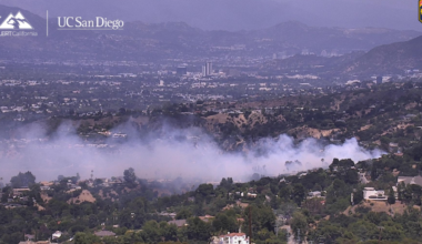 Crews responding to brush fire in Brentwood – NBC Los Angeles