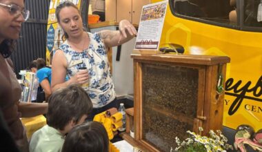 Buzzing around the California Honey Festival: Learn about bees, snack on honeycomb