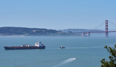 A new whale detection network launches in San Francisco Bay, alerting ships in real time :: WRAL.com