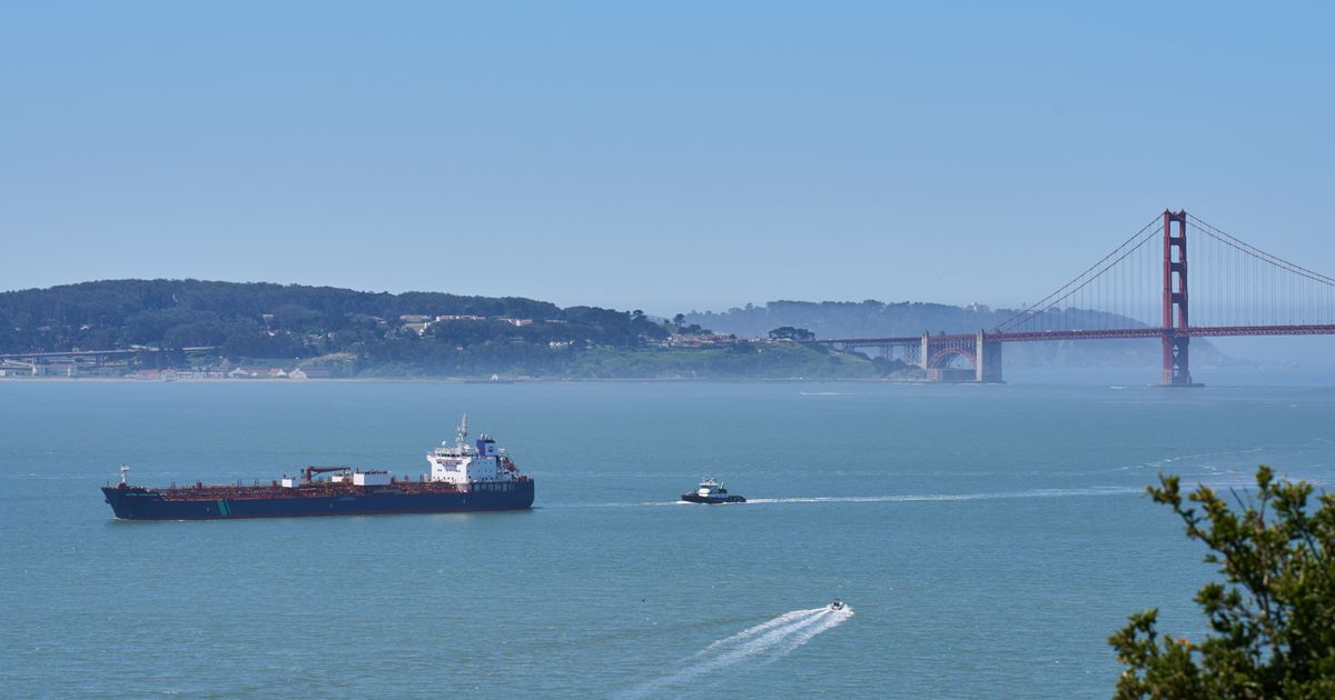 A new whale detection network launches in San Francisco Bay, alerting ships in real time :: WRAL.com