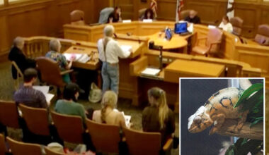 SF pet store owners prepare to fight as city plots ban on sale of live animals