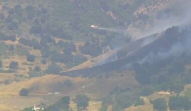 Firefighters respond to brush fire in Calabasas – NBC Los Angeles