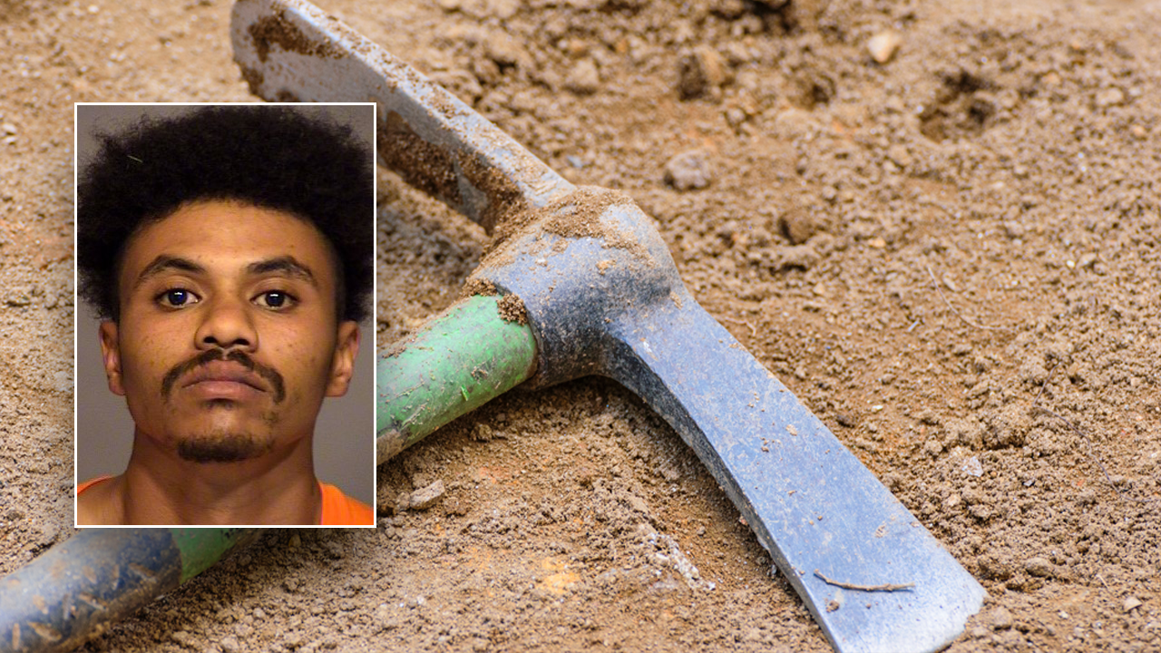 California man sentenced for pickaxe murder of disabled teen brother