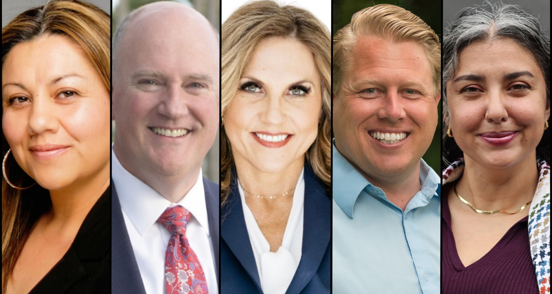 Meet the District 5 San Diego County supervisor candidates