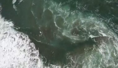 Marine heatwave off California threatens extreme weather events