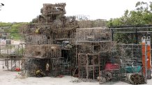 Researchers and scientists at UC Santa Barbara recovered more than 30 ghost lobster traps over the course of a five-day search effort out at sea.