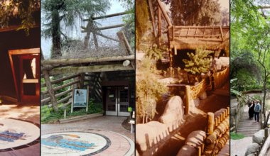 zoo scenes