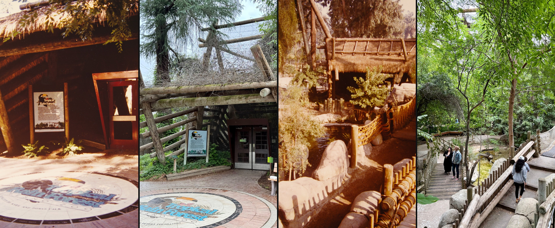 zoo scenes