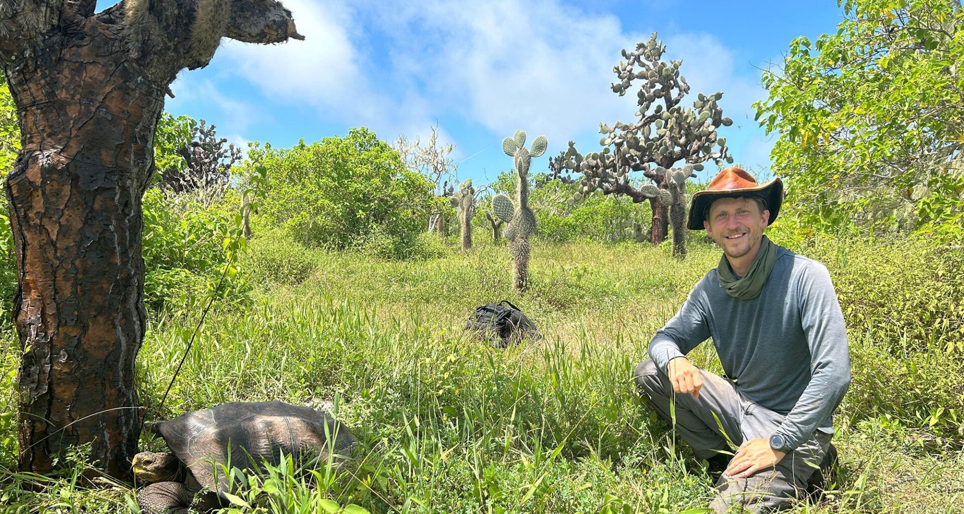 PhD candidate finds his field of dreams studying Galapagos tortoises