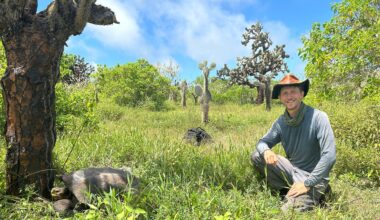PhD candidate finds his field of dreams studying Galapagos tortoises