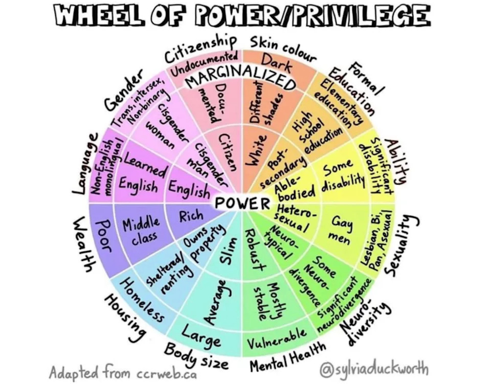 A “wheel of power and privilege” sorts individuals into categories of race, sex, gender identity and other characteristics. Obtained by CA Post