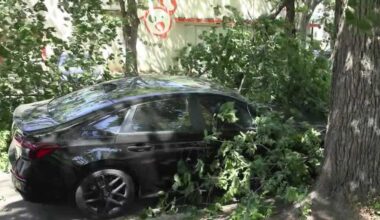 Northern California winds topple trees, spread outages and raise wildfire concerns