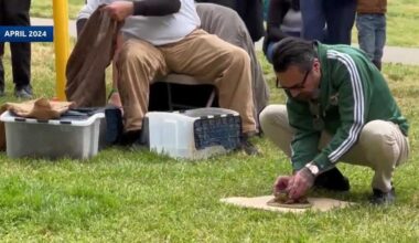 Capitol frog jump marks 50th year and celebrates America’s 250th birthday