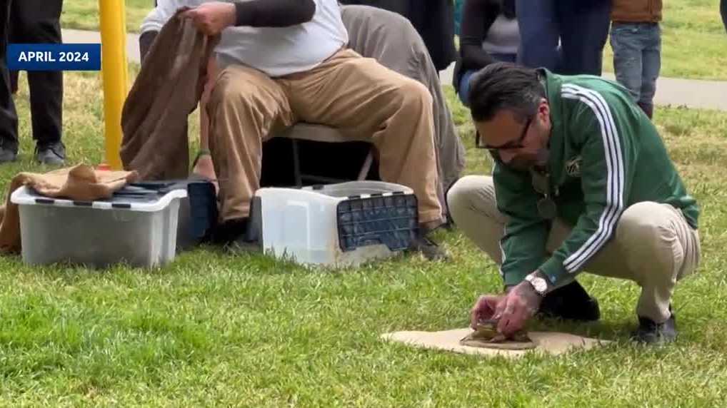 Capitol frog jump marks 50th year and celebrates America’s 250th birthday