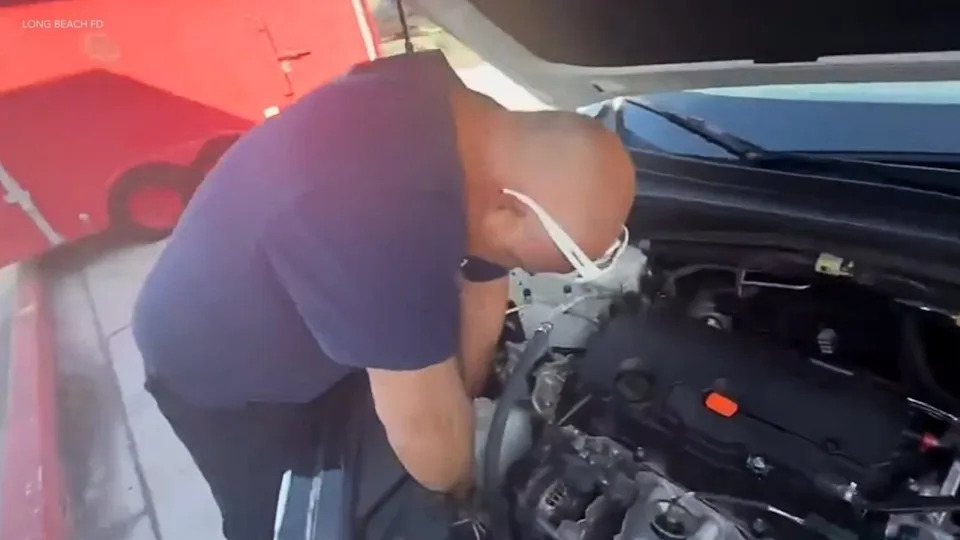 Long Beach kitten rescued from car engine