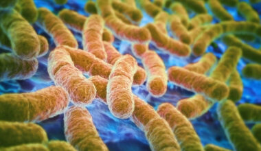 E. coli outbreak linked to multiple The Kebab Shop SoCal locations – NBC 7 San Diego