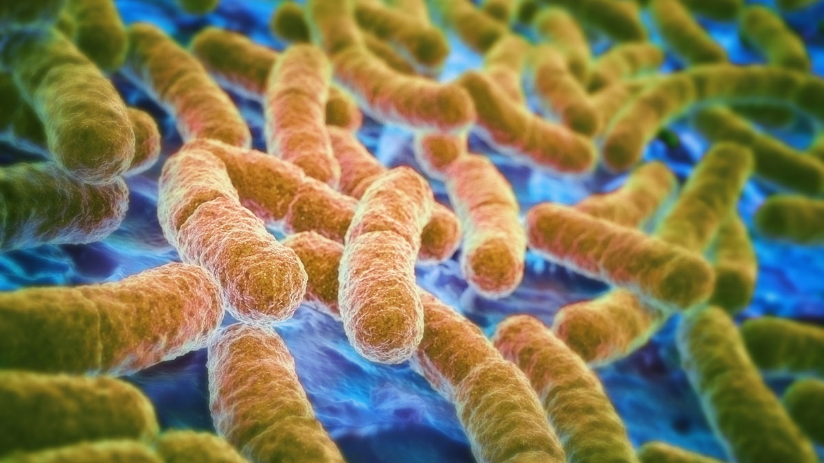 E. coli outbreak linked to multiple The Kebab Shop SoCal locations – NBC 7 San Diego