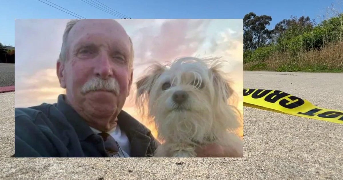 OC veteran, 81, dies weeks after being struck by teen on e-motorcycle